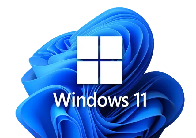 win11